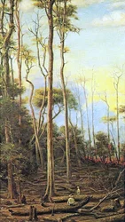Paroba Trees